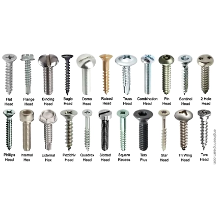 Stainless Steel Screws-1