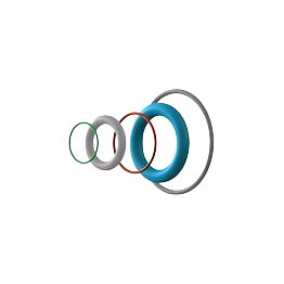 rubber o rings & gaskets