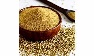Coriander