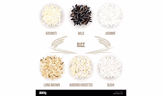 Rice