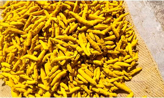 Turmeric Finger