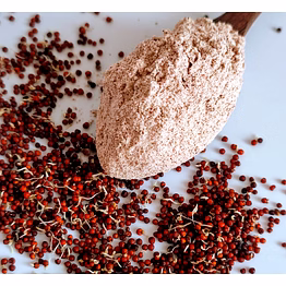 toppnoch ragi sprouted powder
