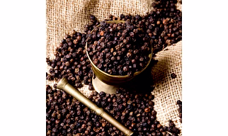 Black pepper