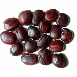 tamarind seeds
