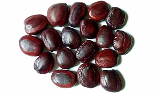 Tamarind seeds