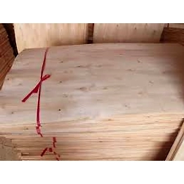 Eucalyptus Core Veneer