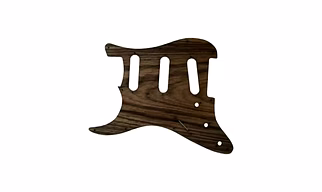 Guitar pickguard