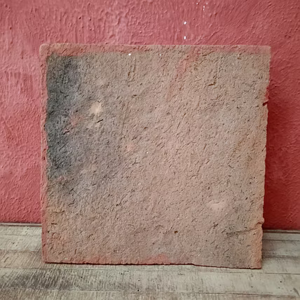 Molela Terracotta Art Tile 9x9 Inch / Prosperity-2