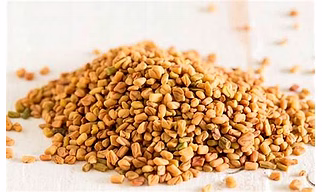 FENUGREEK