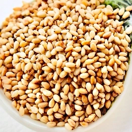 FIVE STAR HULLED SESAME