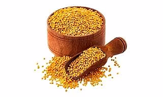 YELLOW MUSTARD