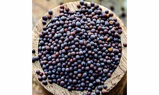 BLACK MUSTARD