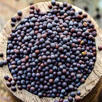 five star black mustard