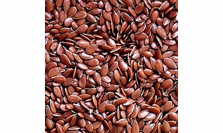 FLAX SEED