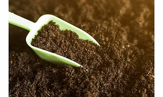 100% Natural Cow Dung Manure