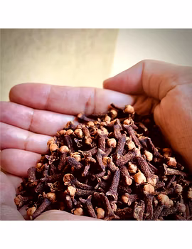 Clove-1-sm