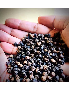 Pepper-2-sm