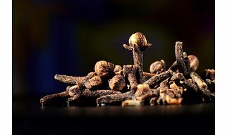 Clove