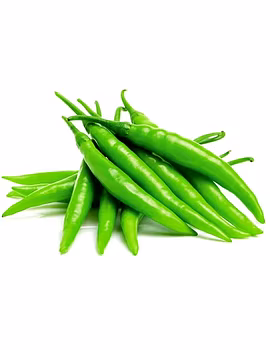 Green Chilli G4-12750185-sm