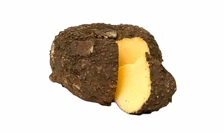 Elephant Yam / Suran