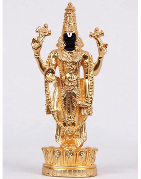 TSL Lotus Balaji (Matt Gold)