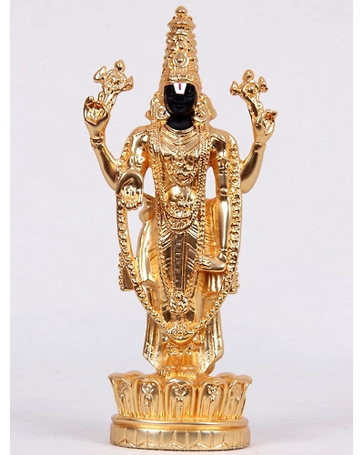 TSL Lotus Balaji (Matt Gold)-TSL2602