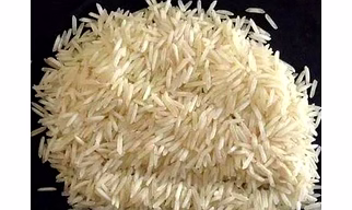 Rice