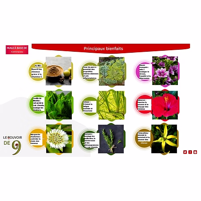 Huile Rouge 9 plantes Cheveux et Corps Homme Rafraîchissante Navratna Himani-4