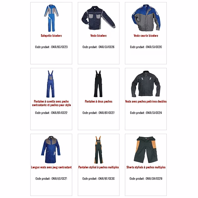 Vêtements Travail Sécurité Professionnelle Protection Corporelle normes CE EPi-5