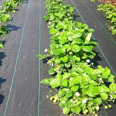 Couvertures Sol PolyPropylène PP Ground Cover Royal Touch Fablon-2