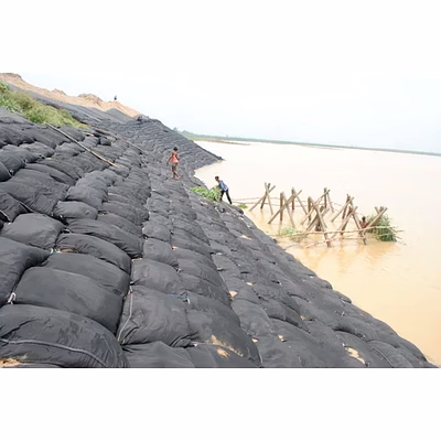 Géo Sacs Geo Bags Royal Touch Fablon-2