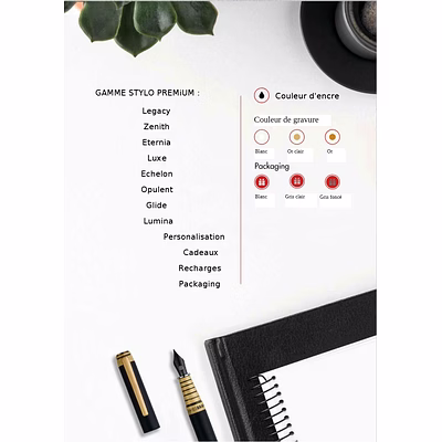 Stylo Plume à Bille Roller Premium Coffret Pen Gifting Set SWiSSBRAND-1