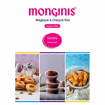 Biscuit Salé Savoury MONGiNiS-2