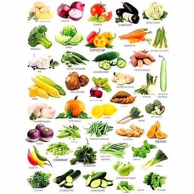 Céréales Légumes Fruits Epices Cereals Vegetables Fruits Spices packagés et en vrac-12878014