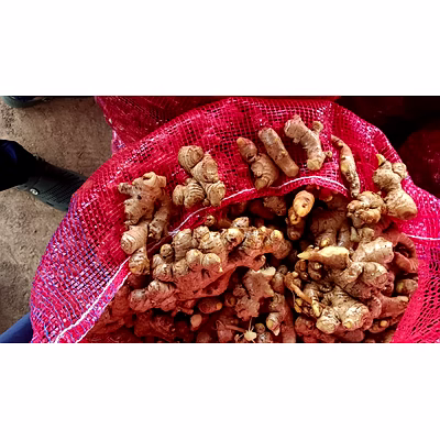 Céréales Légumes Fruits Epices Cereals Vegetables Fruits Spices packagés et en vrac-1