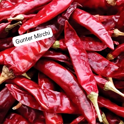 Céréales Légumes Fruits Epices Cereals Vegetables Fruits Spices packagés et en vrac-5