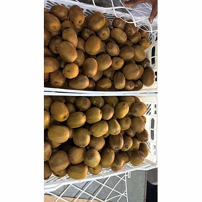 Céréales Légumes Fruits Epices Cereals Vegetables Fruits Spices packagés et en vrac-13