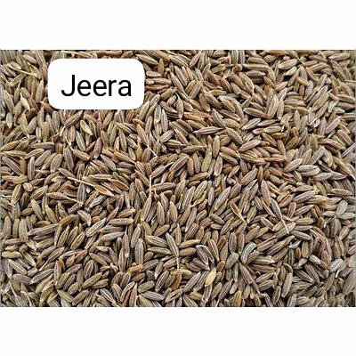 Céréales Légumes Fruits Epices Cereals Vegetables Fruits Spices packagés et en vrac-15