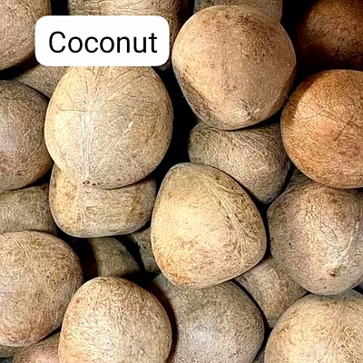 Céréales Légumes Fruits Epices Cereals Vegetables Fruits Spices packagés et en vrac-16