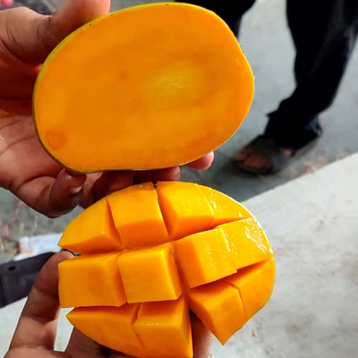 Céréales Légumes Fruits Epices Cereals Vegetables Fruits Spices packagés et en vrac-17