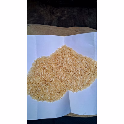 Céréales Légumes Fruits Epices Cereals Vegetables Fruits Spices packagés et en vrac-23