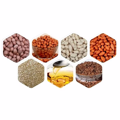 Produits Agricoles Agro Products Graines Oléagineuses, épices indiennes, Céréales, Légumineuses, Déshydratés-1