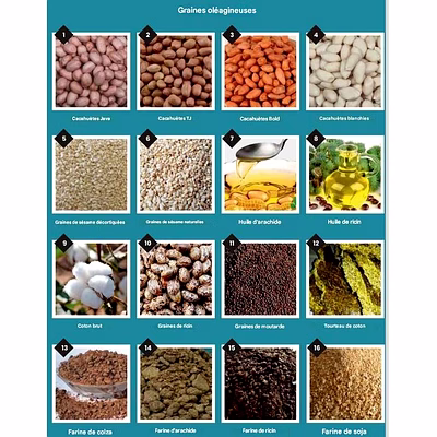 Produits Agricoles Agro Products Graines Oléagineuses, épices indiennes, Céréales, Légumineuses, Déshydratés-2
