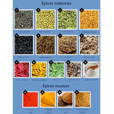 Produits Agricoles Agro Products Graines Oléagineuses, épices indiennes, Céréales, Légumineuses, Déshydratés-4