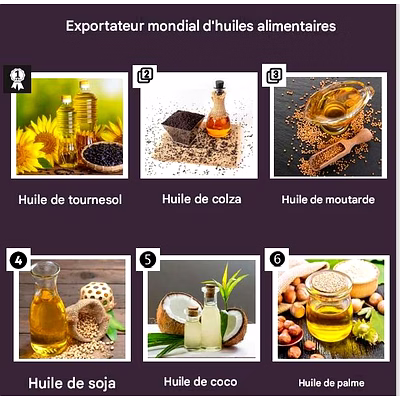 Produits Agricoles Agro Products Graines Oléagineuses, épices indiennes, Céréales, Légumineuses, Déshydratés-10