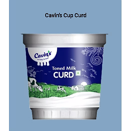 produits laitiers dairy products cavinkare