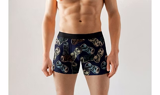 Printed Brief