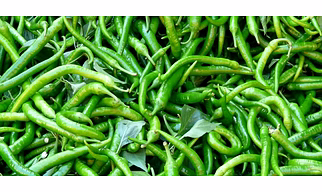 GREEN CHILLI G4