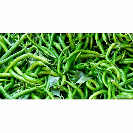 GREEN CHILLI G4-12718081