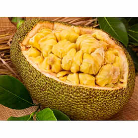 JACKFRUIT
